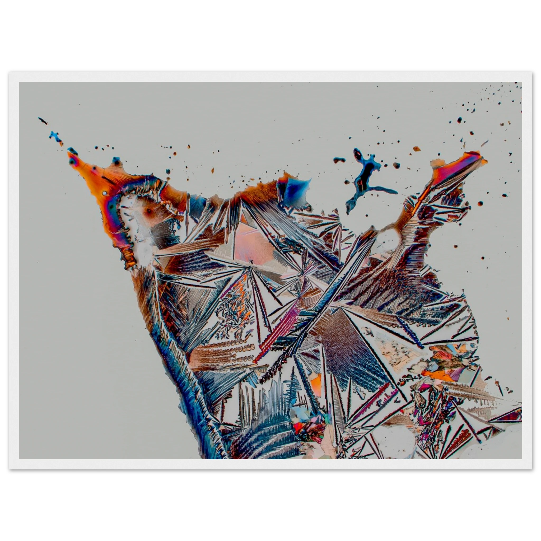 0f74ad29-c12c-4f97-9240-1291a25136ed