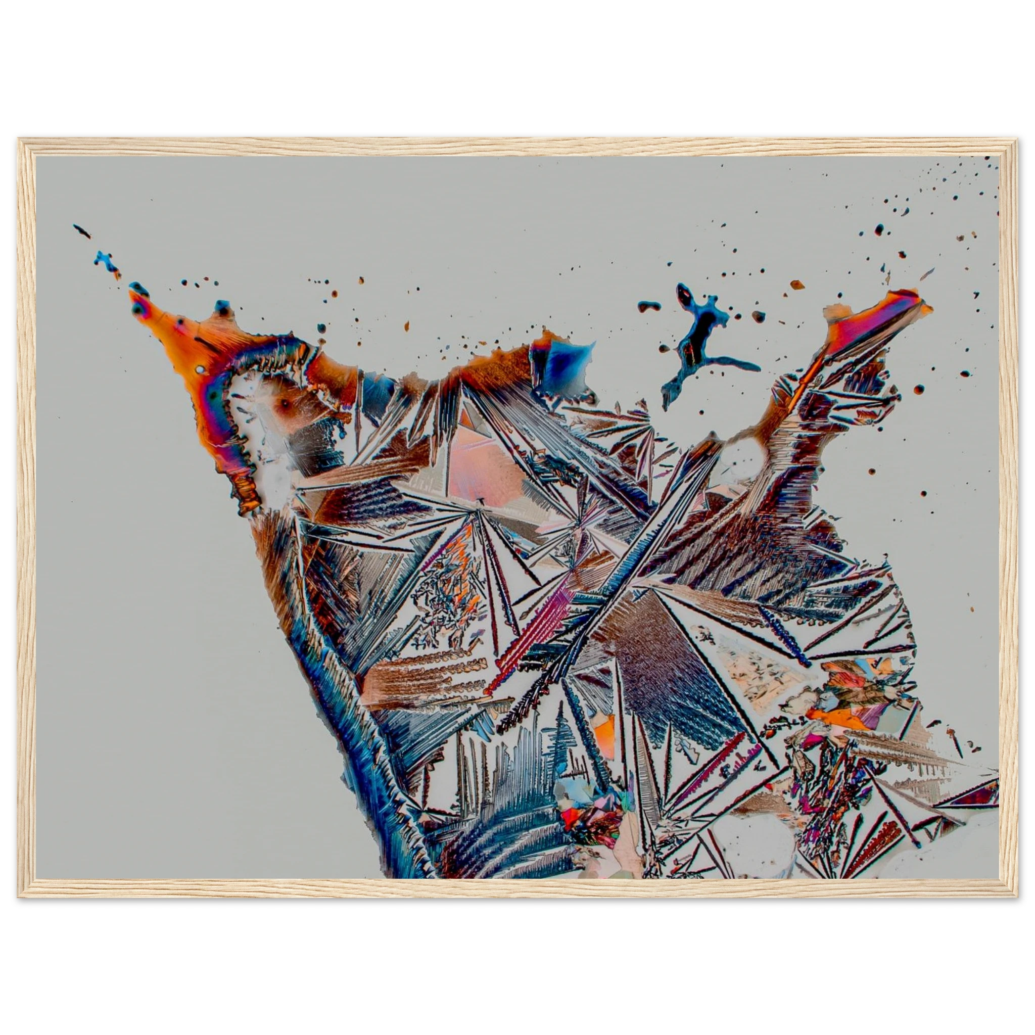 6dcbf229-6594-4ab9-8bc1-9e9f0ba515e3